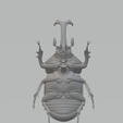 2.png Beetle 3d model 3D print model