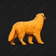 518-Australian_Shepherd_Dog_Pose_02.jpg Australian Shepherd Dog 3D Print Model Pose 02