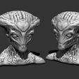 1.jpg Бюст инопланетянина 12 - STL-файл для 3D-печати