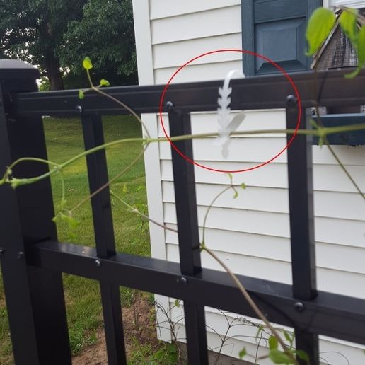 plant_tie_3.jpg Plant Tie