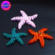 h.jpg PRINT IN PLACE CUTE FLEXI STARFISH