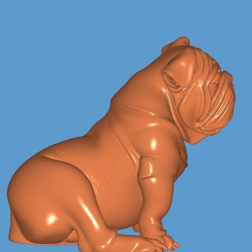 1000119860.jpg English Bulldog