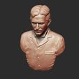 18.jpg Nikola Tesla 3D bust ready to print