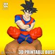 20230524_111752.jpg Goku - Dragonballz Bust - 3d Printable