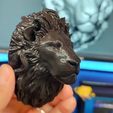 model_b8509625f06d610f30f5fceb0d59722c.png lion head