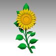 k10.jpg TOURNESOL