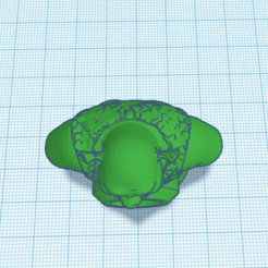 Dashboard-_-Tinkercad-and-1-more-page-Personal-Microsoft​-Edge-12_14_2022-2_24_16-PM.png Shrek bottle cap