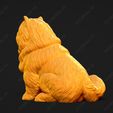3747-Chow_Chow_Rough_Pose_04.jpg Chow Chow Rough Dog 3D Print Model Pose 04
