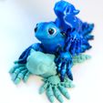 4.jpg Blue Dragon / Glaucus Atlanticus ("The real life pokemon")