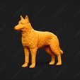1585-Belgian_Shepherd_Dog_Laekenois_Pose_01.jpg Belgian Shepherd Dog Laekenois Dog 3D Print Model Pose 01