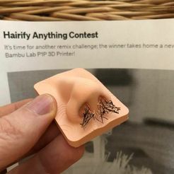 249aee7f-65e5-4ede-9aa4-6e51a11f93f8.jpg 3D-Datei Hairy Nose Kühlschrankmagnet - Ein Hairify Remix! kostenlos・3D-Druck-Modell zum herunterladen