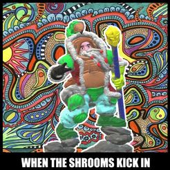 SHROOMS.jpg WizzyDizzyMushroomMan