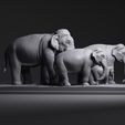 02.jpg Elephant family