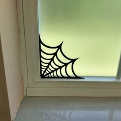 Web_1.jpg Spider window web