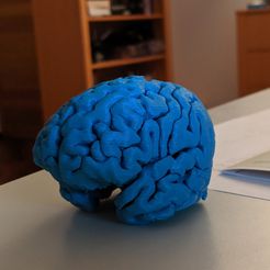 00000IMG_00000_BURST20191016220531038_COVER.jpg MyBrain