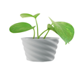 Vase-Pot-Geometric-Patterned-planter-3D-printed_preview.png Vase Pot Geometric Patterned planter 3D printed