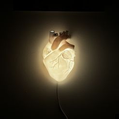 tempImageZOZxUf.jpg Heart Lamp