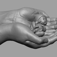Baby_Hand_14.png hands carrying sleeping baby