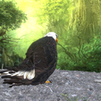0_00041.png Eagle Eagle - DOWNLOAD Eagle 3d Model - Animated for Blender-Fbx-Unity-Maya-Unreal-C4d-3ds Max - 3D Printing Eagle Eagle BIRD - DINOSAUR - POKÉMON - PREDATOR - SKY - MONSTER