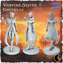 Contessa_original.png 3D file Contessa- Dark Fantasy Minis・3D printer design to download