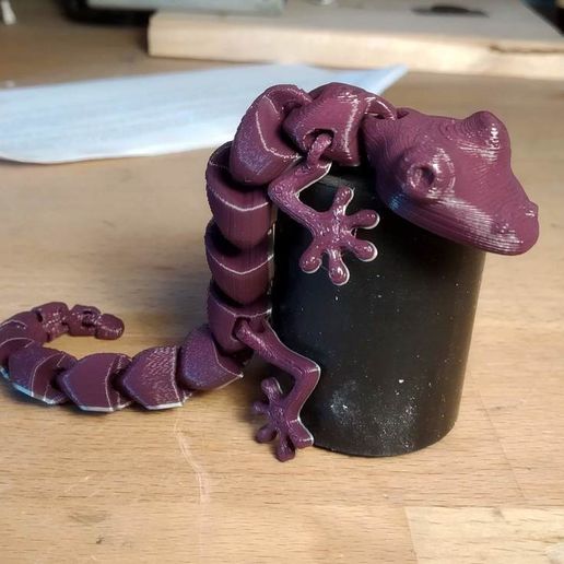 IMG_20190320_140441.jpg Articulated Lizard v2