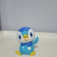 20230902_195608-1.jpg Piplup Multicolor