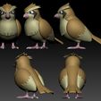 00.jpg Pidgey Evolution Pack