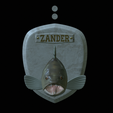 zander-head-trophy-3.png fish head trophy zander / pikeperch / Sander lucioperca open mouth statue detailed texture for 3d printing