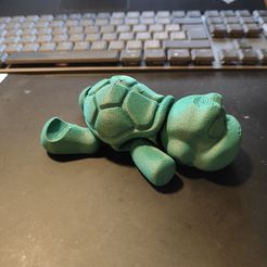 flexi turtle