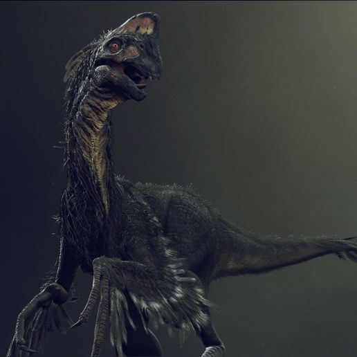 Life size Citipati (Oviraptor) skull and cervical vertebrae