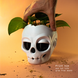 Cults-6.png Skull Planter