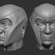 Screenshot_9.jpg Ian McKellen and Magneto head - Printable 3d impression
