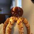 Cute Mini Octopus