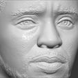 18.jpg Chad Boseman Black Panther bust 3D printing ready stl obj formats