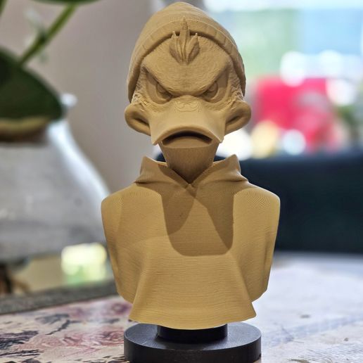 1000000547.jpg What a Ducky Duck?