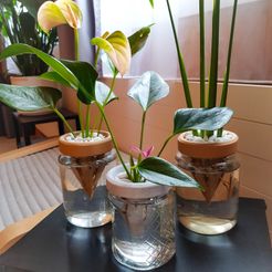 2.jpg STL file Mason jar planter・3D printing idea to download