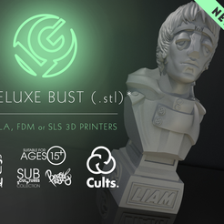 Cults3D-1920x1080-mbc-LG-deluxe-bust-music1.png LG - Deluxe Bust