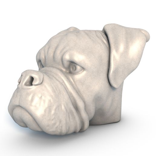 Boxer-Dog-Head0000.jpg Tête de chien Boxer