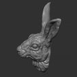 10.jpg Hare head