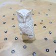 Owl2.jpg Owl Sculpture 3D Scan