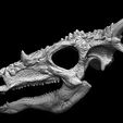 dracorex-skull-3d-model-8d4f468ff0.jpg Crâne de Dracorex
