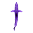 Isurus oxyrinchus_F_Swimming.stl Shortfin mako shark (Isurus oxyrinchus)