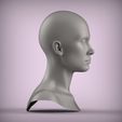 2.21.jpg 26 3D HEAD FACE FEMALE CHARACTER FEMALE TEENAGER PORTRAIT DOLL BJD LOW-POLY 3D MODEL