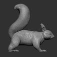 squirrel10.jpg Squirrel 3D print model