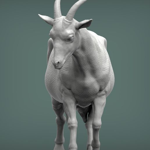 🐐 Goat 3D print model・ STL File for ・Cults