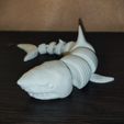 IMG_20230608_003809.jpg Flexi Realistic Shark