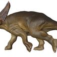 CHASMOSAURUS-2.jpg Chasmosaurus belli