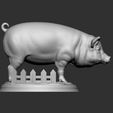 4.jpg PIG