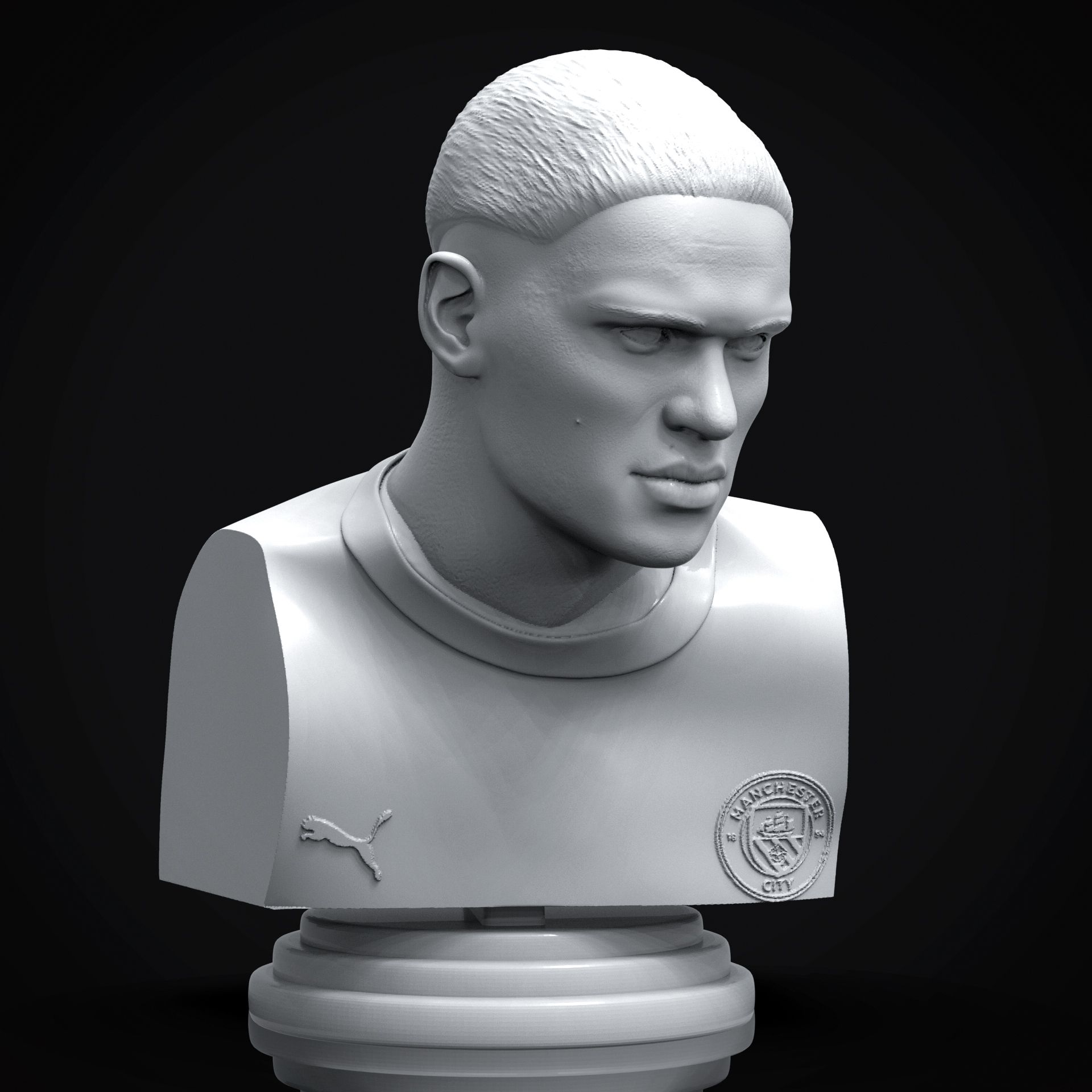 Preview_7.jpg Archivo STL Busto imprimible en 3D de Erling Haaland・Objeto de impresión 3D para descargar, niklevel