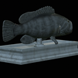 White-grouper-open-mouth-statue-15.png fish white grouper / Epinephelus aeneus open mouth statue detailed texture for 3d printing